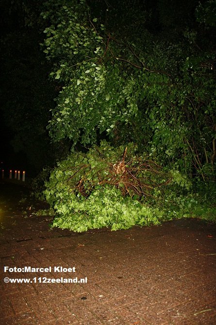 stormschade 29-8-2010 020  klein.jpg